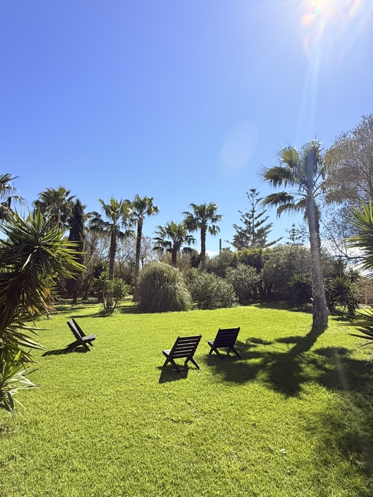 Finca fxmayrmallorca° — Außenansicht mit Liegestühlen und Palmen